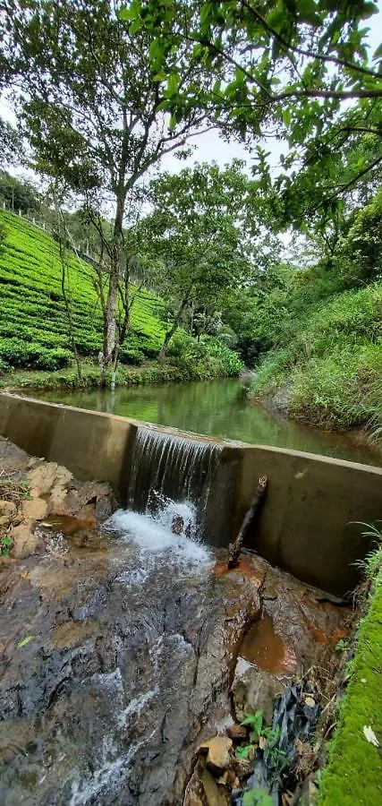Idam Resort Vagamon
